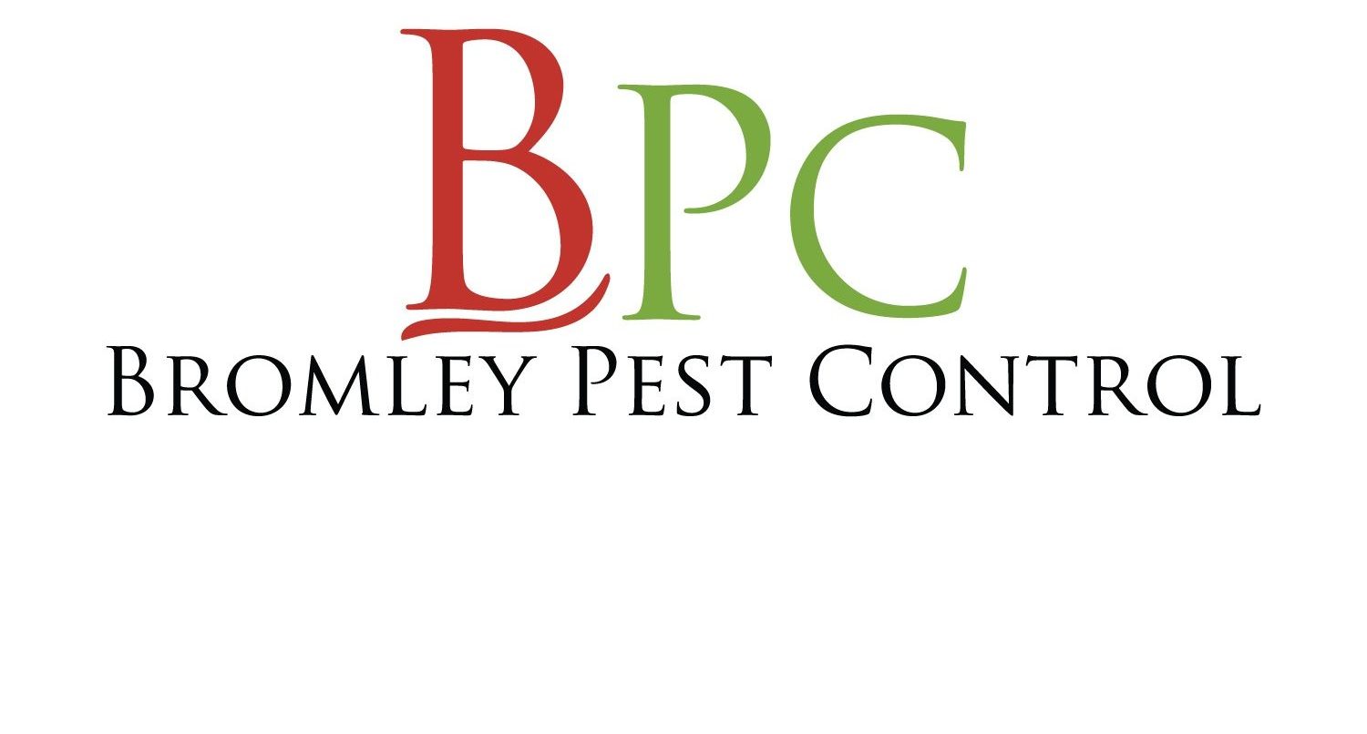 Bromley Pest Control